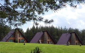 Forest Houses Godech